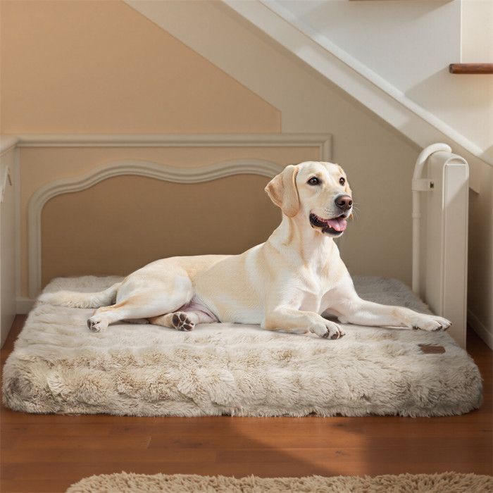 Panier pour Chien 3XL- BingoPaw - 130x110x12cm Coussin Chien Dehoussable Imperméable, Housse Lavable, avec Fond Antidérapant(BG/2XL)