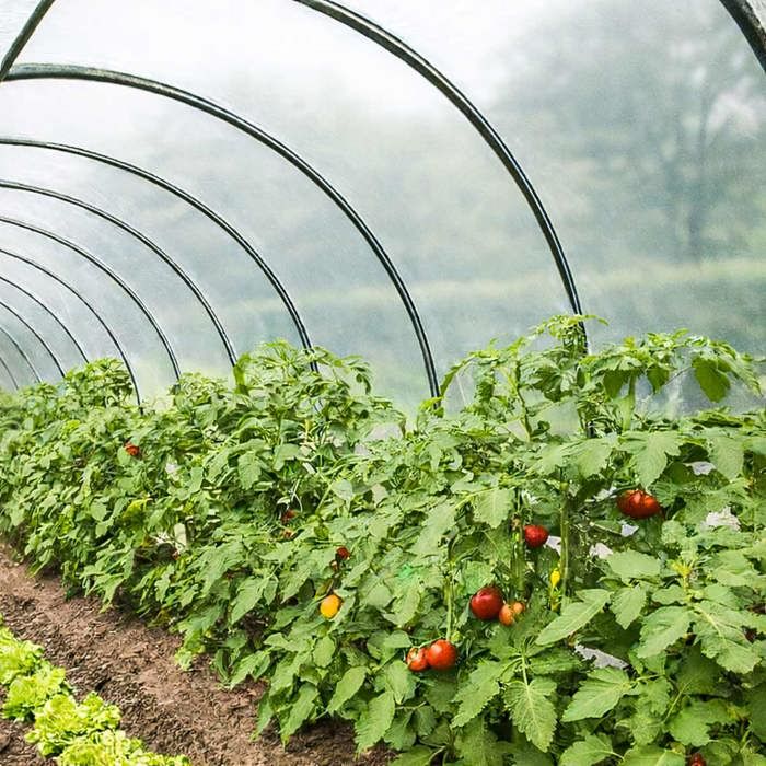 TECPLAST Bâche Serre 6x14 m 200SE - Film plastique transparent pour serre de jardin - Haute Performance - Made in France(6 x 10 m)